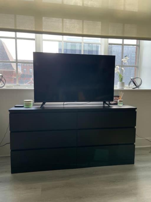巴尔的摩Cozy, High Rise, Large Studio Facing Downtown .公寓 外观 照片